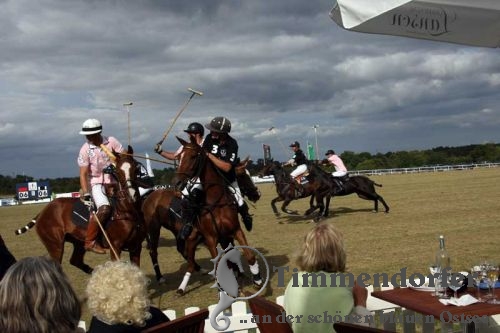 Polo Open