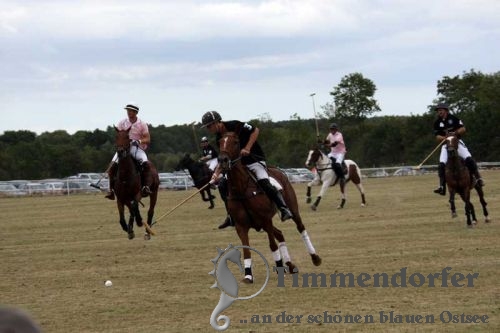 Polo Open